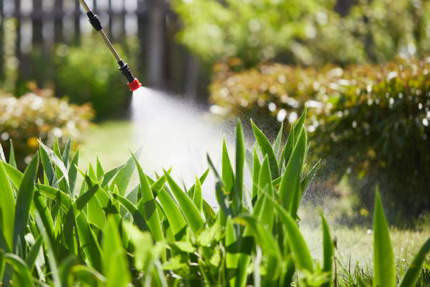 24/7 Emergency Mosquito Control experts in Alamance, NC