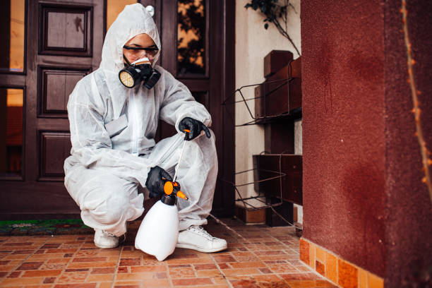 Reliable Mosquito Control contractor in Alamance, NC by Nex Pest Control